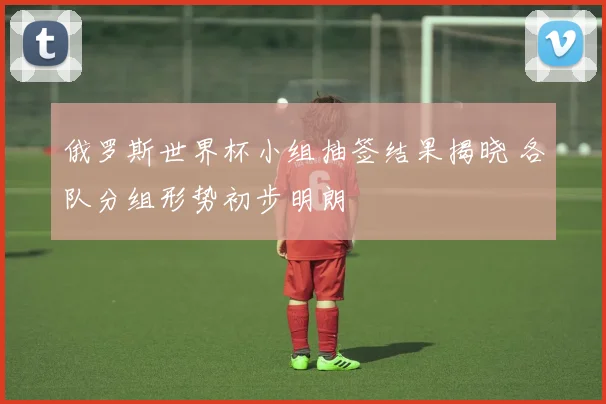 俄罗斯世界杯小组抽签结果揭晓 各队分组形势初步明朗