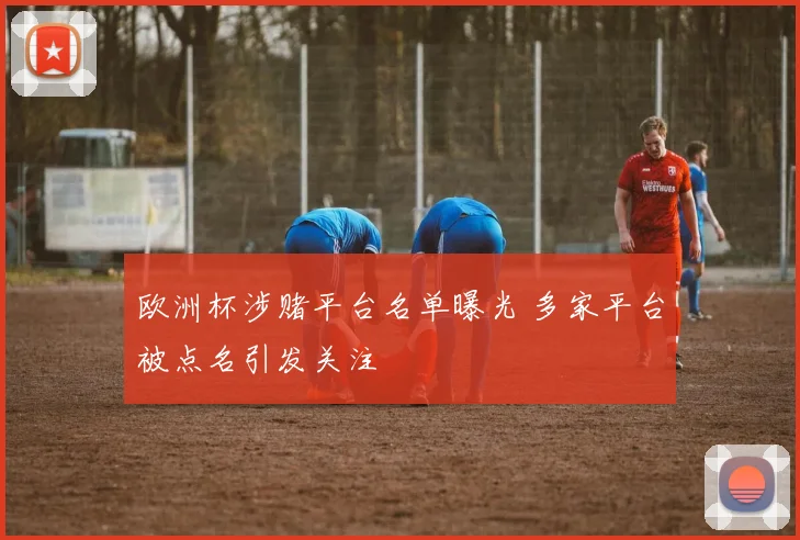 欧洲杯涉赌平台名单曝光 多家平台被点名引发关注
