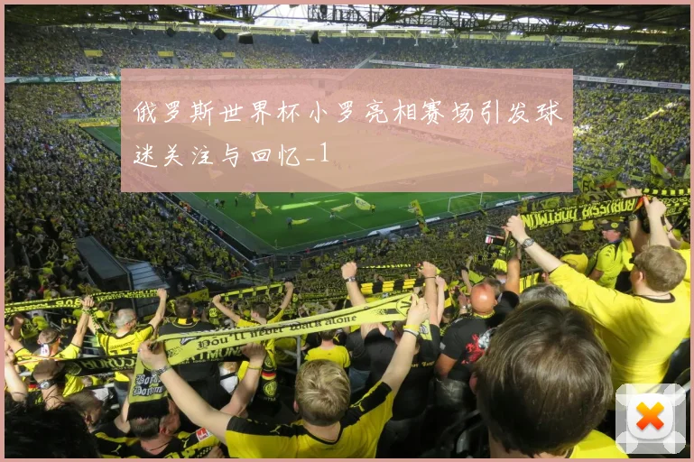 俄罗斯世界杯小罗亮相赛场引发球迷关注与回忆_1