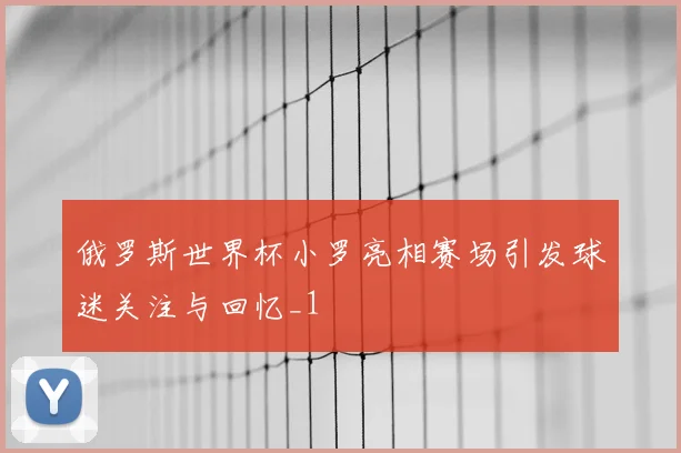 俄罗斯世界杯小罗亮相赛场引发球迷关注与回忆_1