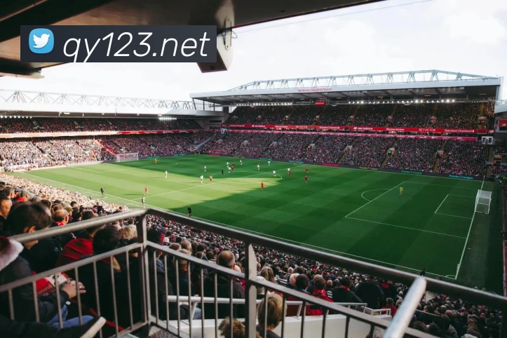 星空体育登录网页入口发展历程